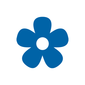 seta