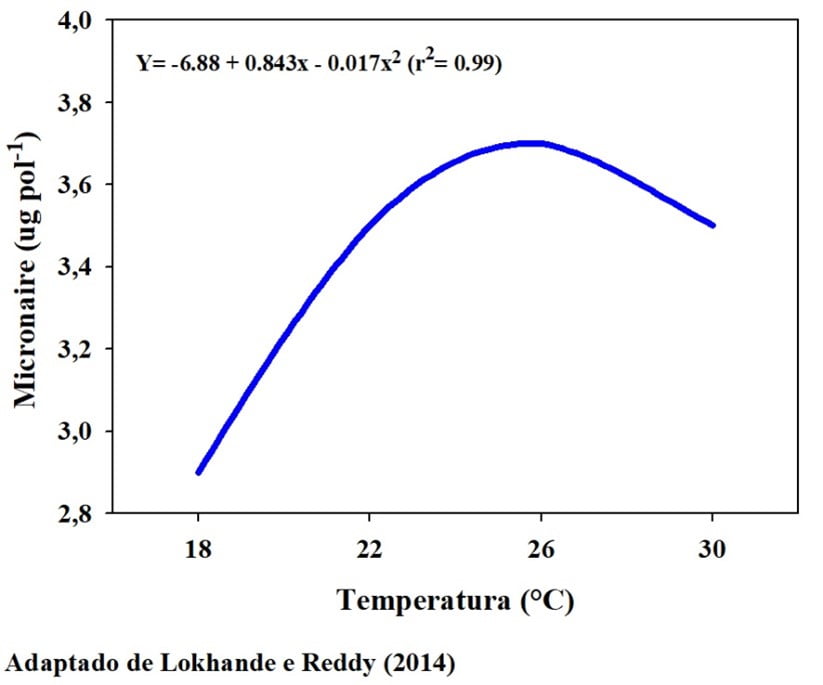 Temperaturas abaixo de 26°C podem afetar fortemente o micronaire da fibra