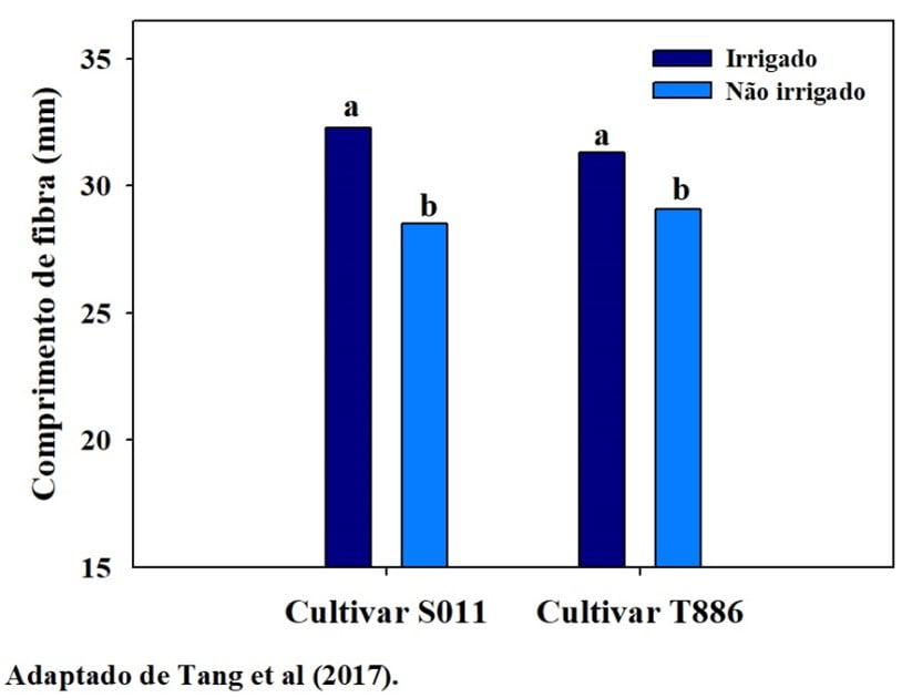déficit hídrico também pode reduzir a atividade de enzimas chaves na síntese de açúcares na planta de algodão
