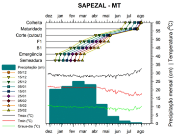 MT do desenvolvimento fenológico do algodoeiro em diferentes datas de semadura