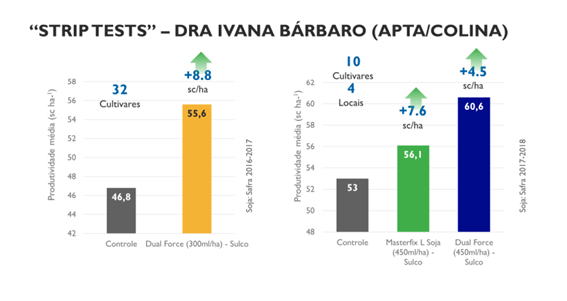 Strip test - dra ivana barbaro