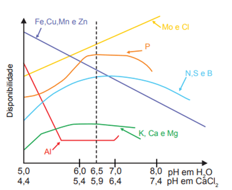 Disponibilidade de nutrientes em função do pH do solo.