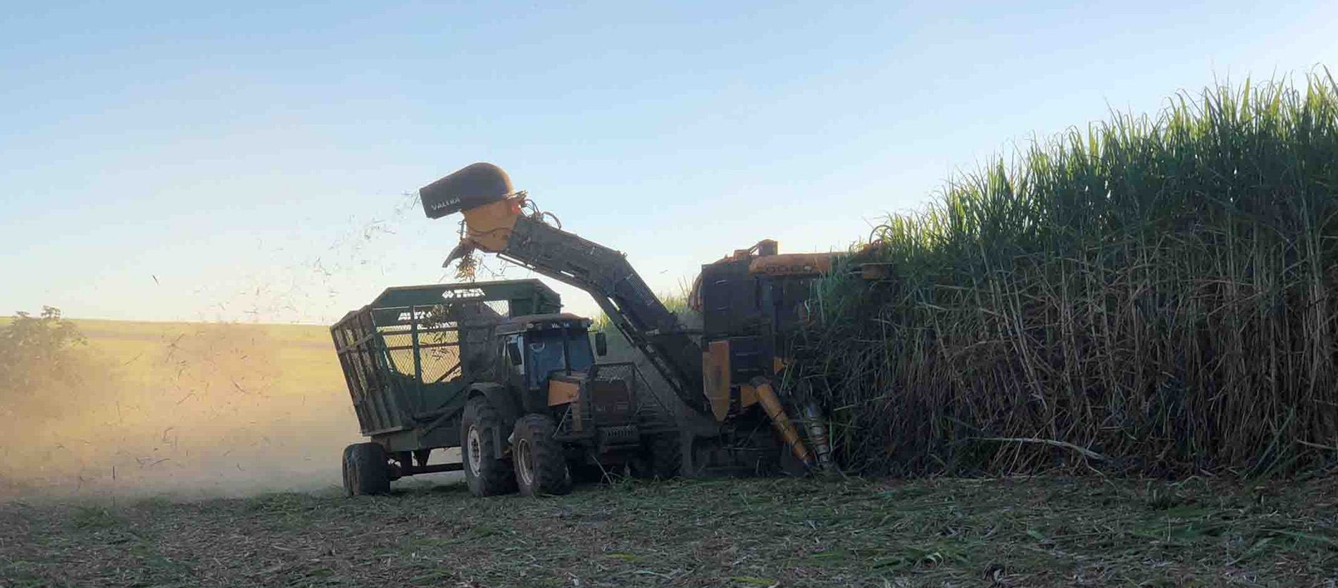 produtividade do canavial