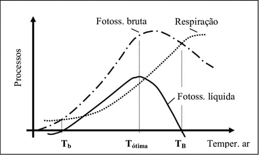 Metabolismo das plantas e temperaturas cardeais