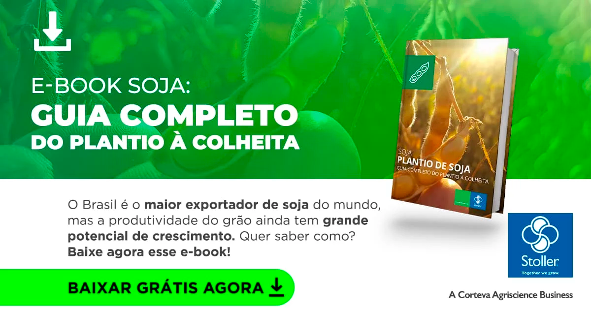 Guia completo do plantio a colheita