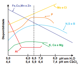 Disponibilidade de nutrientes em função do pH do solo.