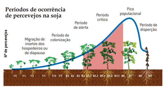 Período de ocorrencia de percejevos na soja.