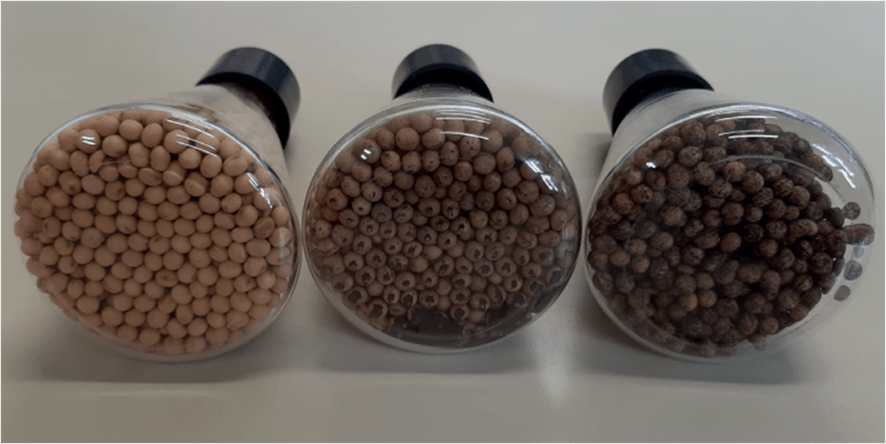 Comparação de sementes de soja com e sem inoculante