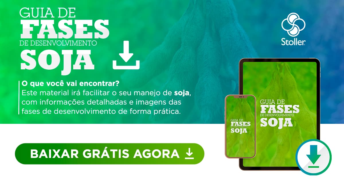 Guia fases soja