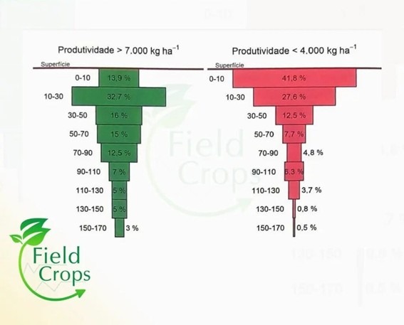 Relação entre a produtividade da soja e a distribuição das raízes da planta no perfil do solo.