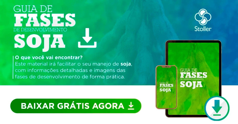 Guia fases soja