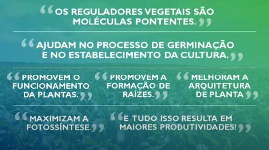 A importância da fisiologia vegetal