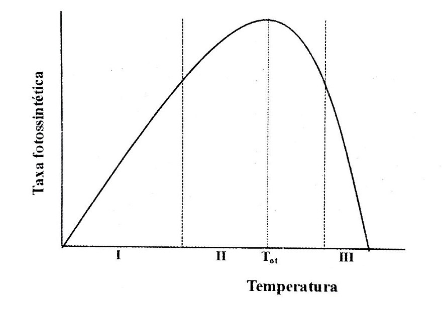 Respostas da taxa fotossintética à temperatura do ambiente