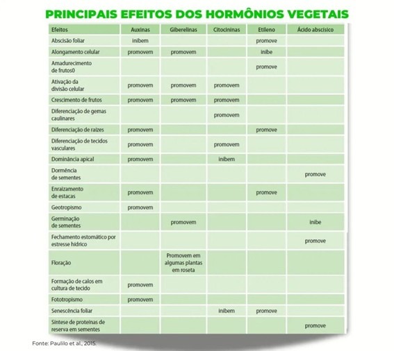 Principais funções dos hormônios vegetais nas plantas