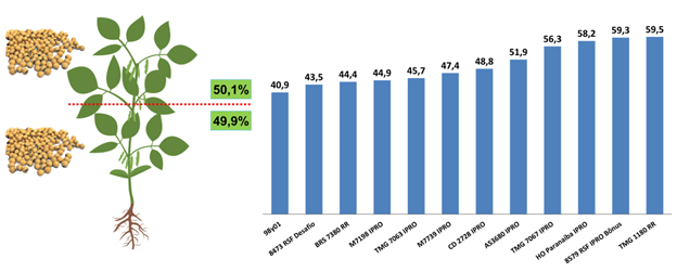 Porcentagem de grãos na metade inferior