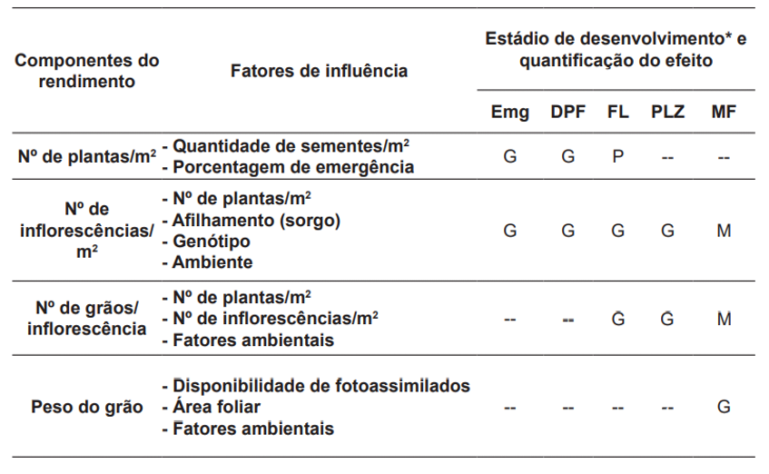 Componentes do rendimento (produtividade) de grãos de milho e de sorgo