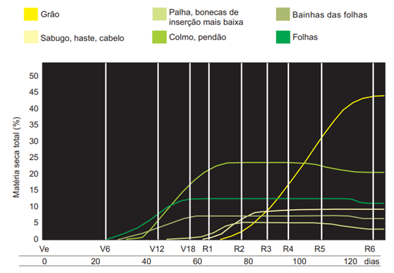 taxa de matéria seca