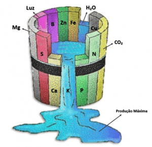 Representação esquemática da definição da Lei de Liebig ou Lei do Mínimo
