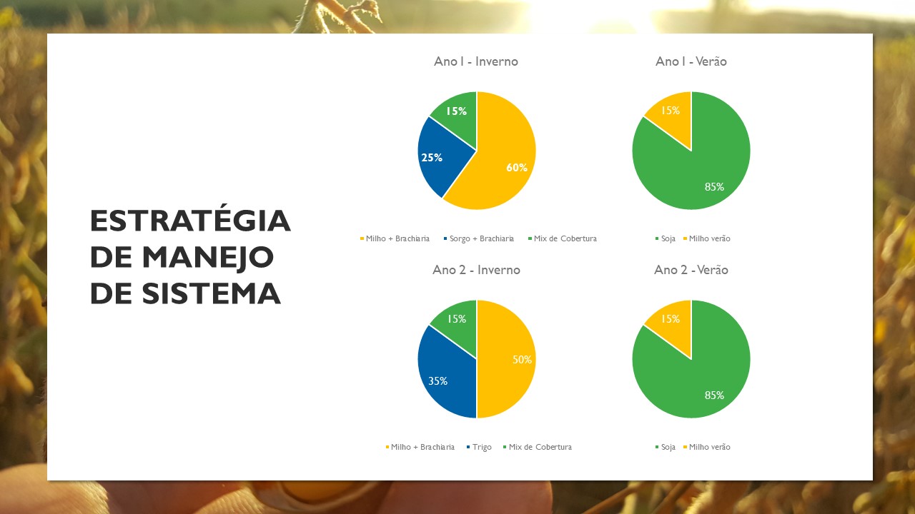 estratégia de manejo para produção de soja