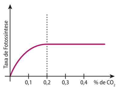 Efeito do gás carbônico na taxa fotossintética.