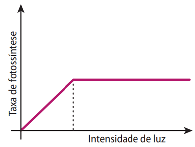 Efeito da intensidade de luz na taxa fotossintética