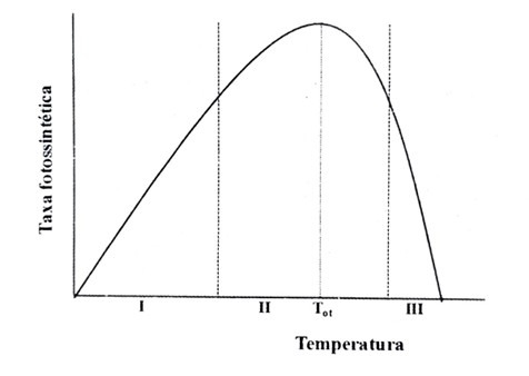 Resposta da taxa fotossintetica a temperatura do ambiente