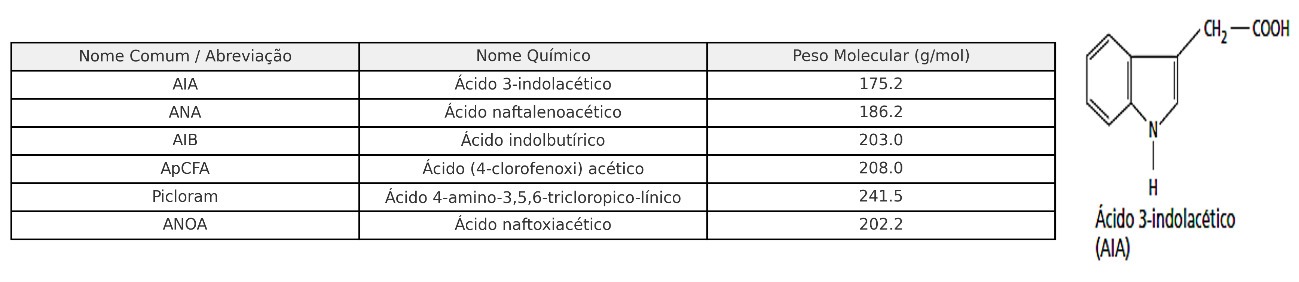 Principais tipos de auxinas.