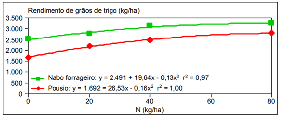 Rendimento de grãos de trigo