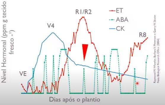 Nível hormonal - Dias após plantio