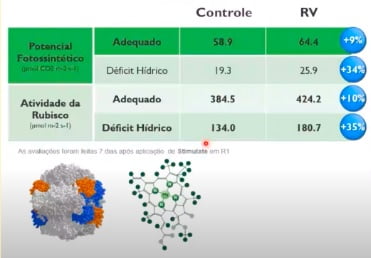 Rápida recuperação do estresse ajuda a manter o potencial produtivo