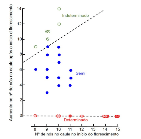 Relação entre o número de nós