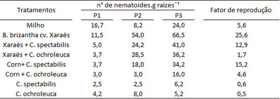 Número de nematoides Pratylenchus brachyurus por grama de planta das culturas