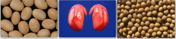 sintomas típicos de deterioração por umidade