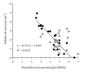 Correlação entre o volume de raízes de soja e a resistência do solo à penetração 