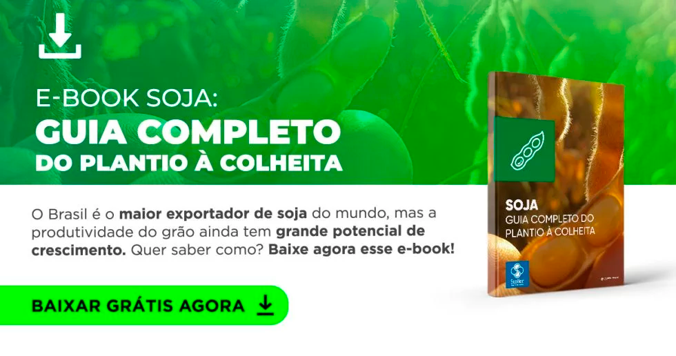 E-BOOK SOJA