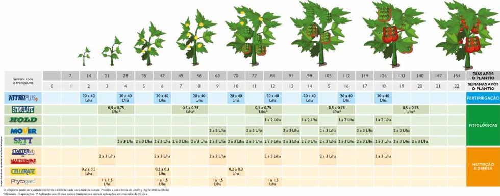 Programas de Manejo Tomate