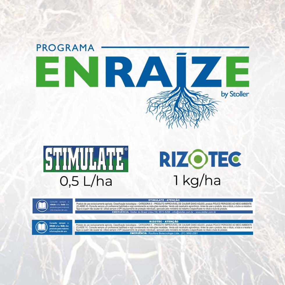 Enraize