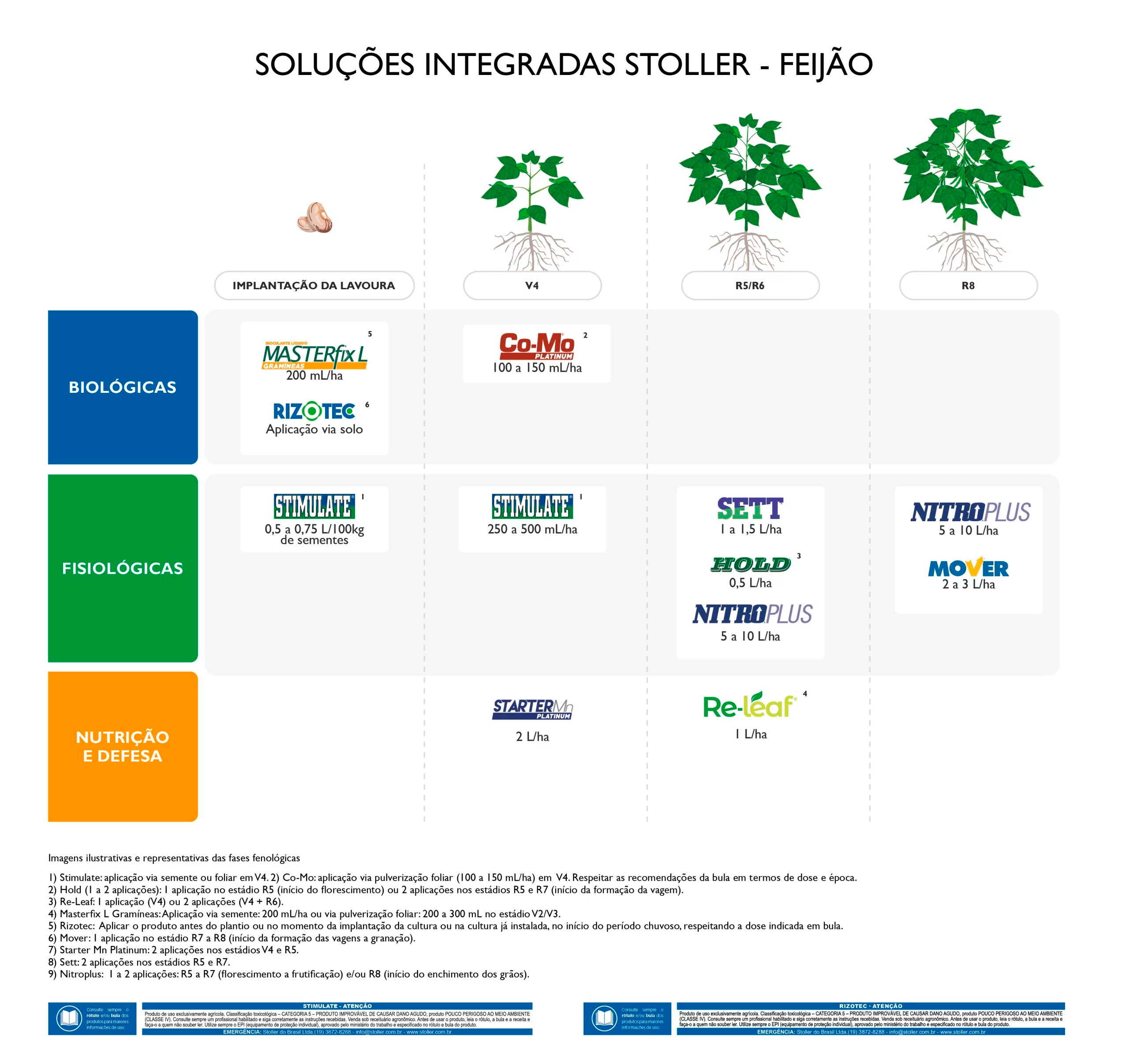 Infográfico intitulado 
