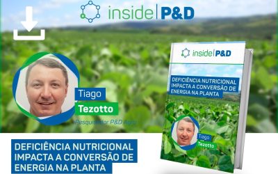 [E-book] Inside P&D: Deficiência nutricional impacta a conversão de energia na planta