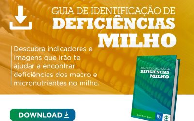 [Guia] Deficiências no Milho