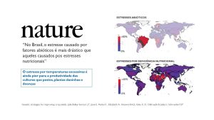Gráfico de estresse abiótico no Brasil