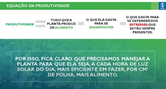 Fisiologia vegetal: equação da produtividade