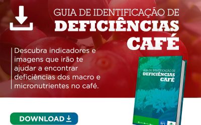 [Guia] Deficiências no Café