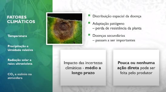 Impacto do estresse ambiental nas plantas