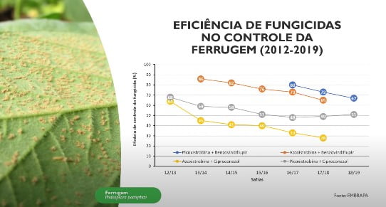 Estresse ambiental: a eficiência dos fungicidas
