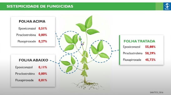 Princípios ativos dos fungicidas sistêmicos
