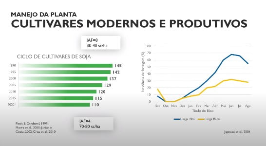 Manejo da planta