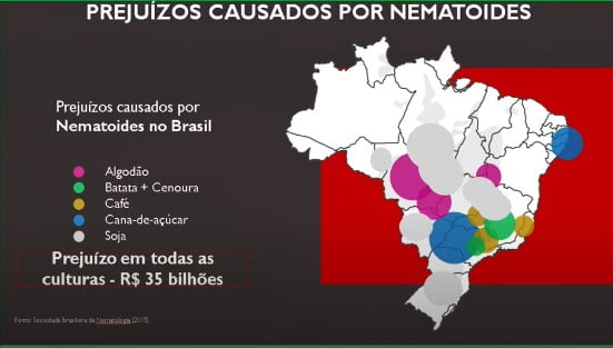 Dicasa de manejo para o controle de nematoides