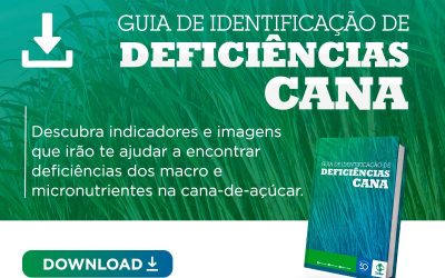 [Guia] Deficiências na Cana-de-açúcar