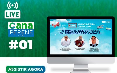 [Live 01] Cana Perene: O impacto dos estresses na perenidade do canavial